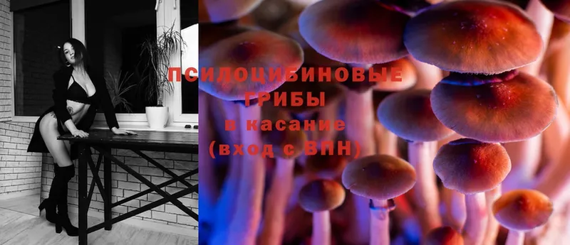 Псилоцибиновые грибы Psilocybe Верхняя Салда